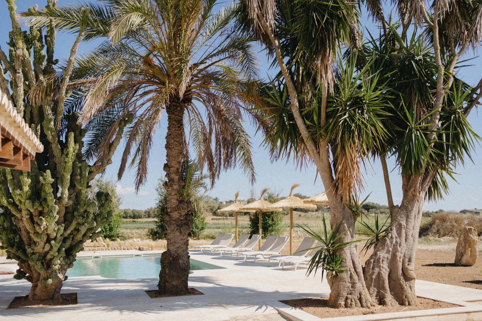 Vino Resort Son Amaret Son Macia  Exterior foto