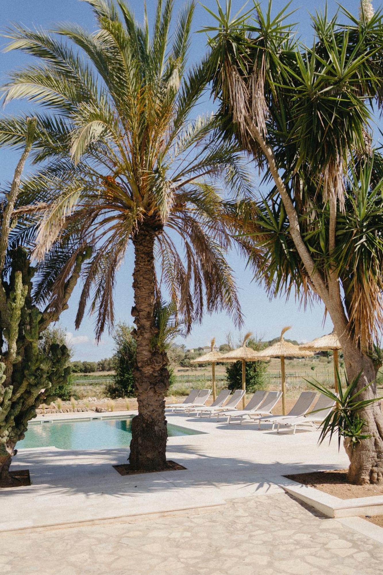 Vino Resort Son Amaret Son Macia  Exterior foto