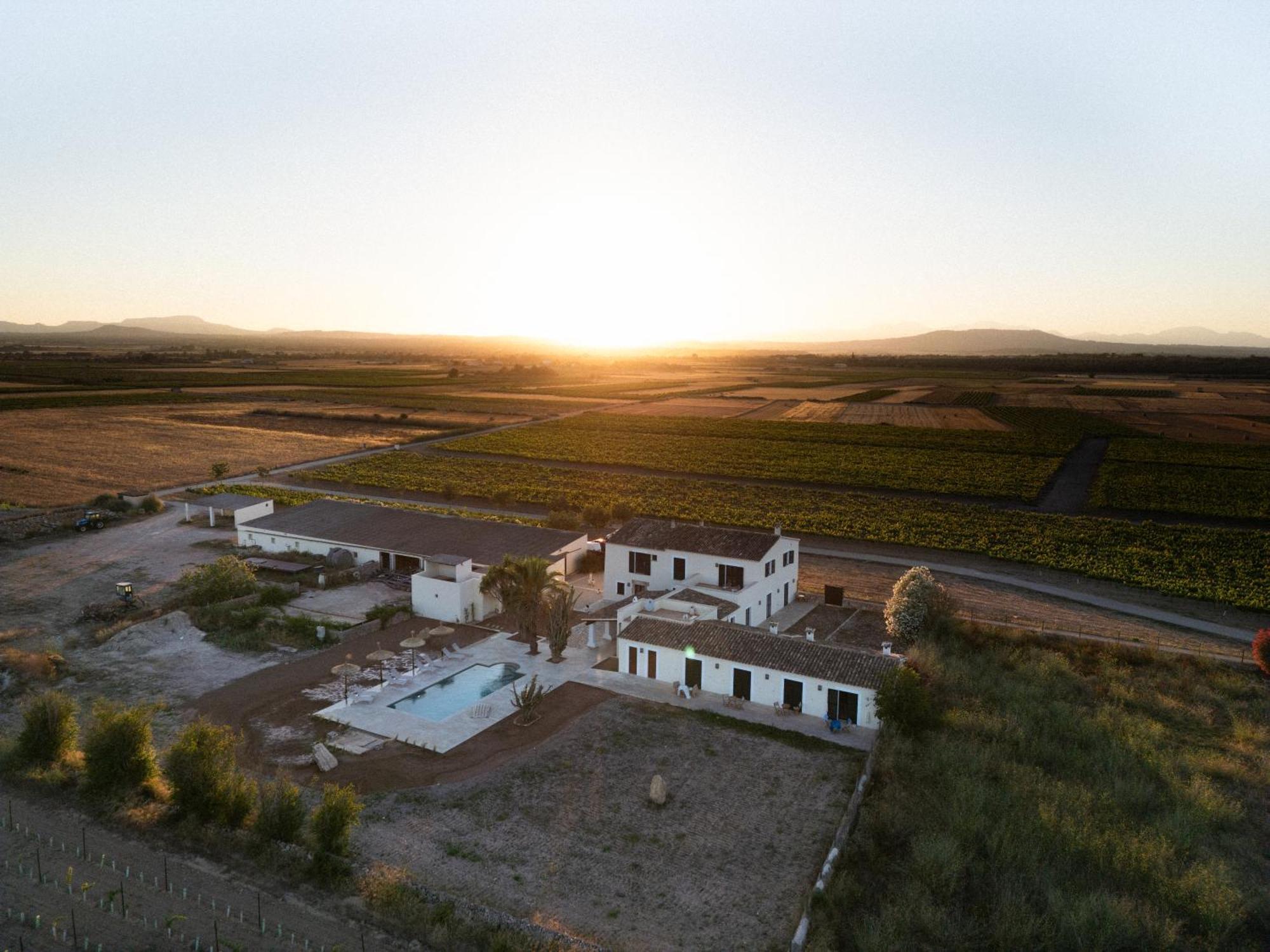 Vino Resort Son Amaret Son Macia  Exterior foto