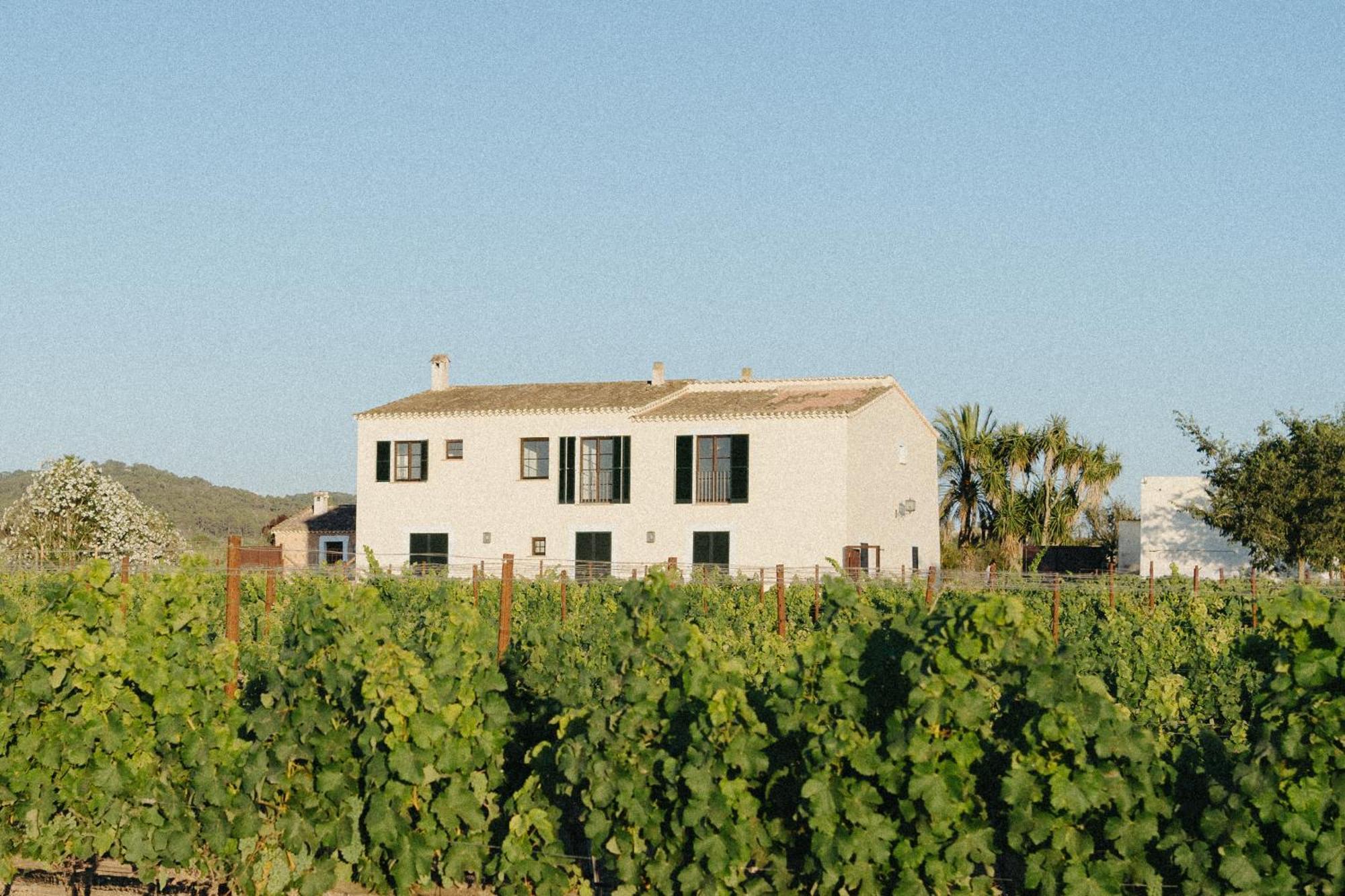 Vino Resort Son Amaret Son Macia  Exterior foto